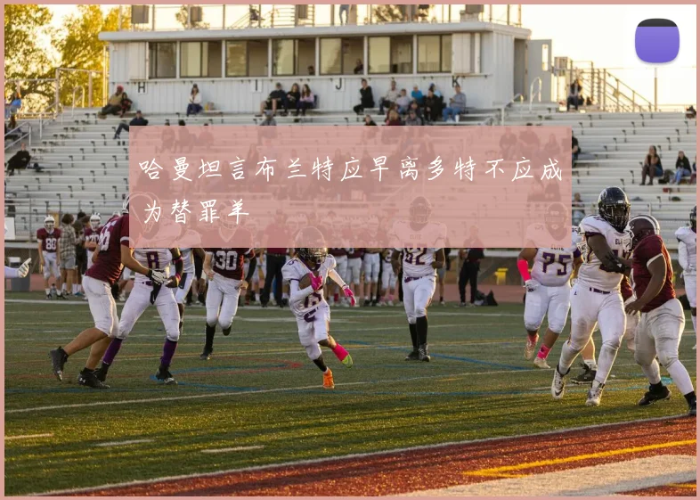 哈曼坦言布兰特应早离多特不应成为替罪羊